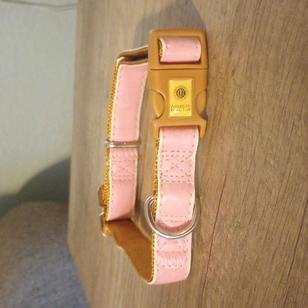 American Kennel Club Dog Collar M/L